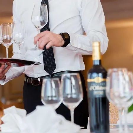 Medicis Les Petites Roches 3* Ντιζόν